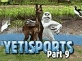 Mäng Yeti Sports: Part 9 - Final Spit