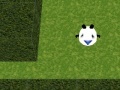 Mäng Panda Hates Mazes