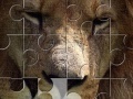 Mäng Lion Jigsaw