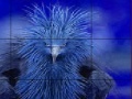 Mäng Timid blue bird slide puzzle