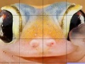Mäng Pink frog slide puzzle