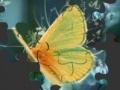 Mäng Butterfly