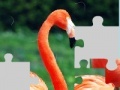 Mäng Flamingo puzzle