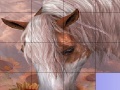 Mäng Slide Puzzle: Horse