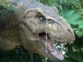 Mäng Tyrannosaurus Rex Jigsaw