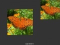 Mäng Orange Butterfly