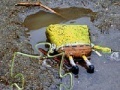 Mäng SpongeBob Found Dead Jigsaw Puzzle