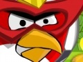 Mäng Angry Bird protect home