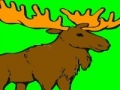 Mäng Deer coloring game