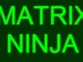 Mäng Matrix Ninja