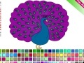 Mäng Peacock Coloring