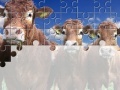 Mäng Gorgeous Cows Jigsaw