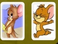 Mäng Tom and Jerry Cards Match