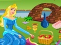 Mäng Princess Aurora. Picnic cleaning