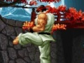 Mäng The king of the fighters. Wing V1.8