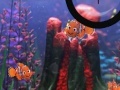 Mäng Finding Nemo hide and seek