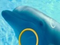 Mäng Dolphin Tale 2 Hidden Alphabets