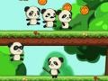 Mäng Panda Shock Troop 