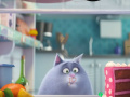 Mäng The Secret Life Of Pets Spot The Numbers
