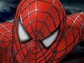 Mäng Spider-man 3: Rescue Mary Jane 