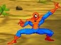 Mäng Spiderman: Hero Training 