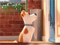 Mäng Hidden Letters in The Secret Life of Pets
