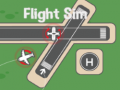 Mäng Flight Sim