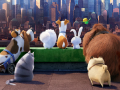 Mäng The Secret Life Of Pets Find Objects