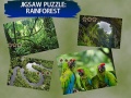 Mäng Jigsaw Puzzle Rain Forest 
