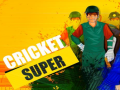 Mäng Super Cricket      