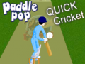 Mäng Paddle Pop Quick Cricket