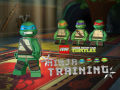 Mäng Teenage Mutant Ninja Turtles: Ninja Training
