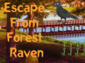 Mäng Escape from Forest Raven