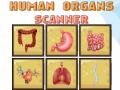 Mäng Human Organs Scanner