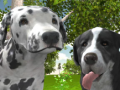 Mäng Dog Simulator 3d