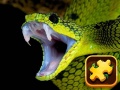 Mäng Snake Puzzle Challenge