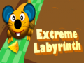 Mäng Extreme Labyrinth