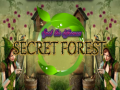 Mäng Spot The differences Secret Forest