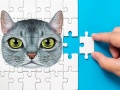 Mäng Abyssinian Puzzle Challenge