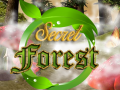 Mäng Secret Forest
