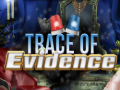 Mäng Trace of Evidence