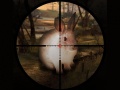 Mäng Classical Rabbit Sniper Hunting 2019