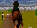 Mäng Jumping Horse 3d