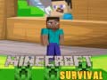 Mäng Minecraft Survival