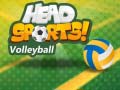 Mäng Head Sports Volleyball