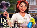Mäng Domestic Service