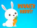 Mäng Runner Rabbit