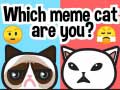 Mäng Which Meme Cat Are You?