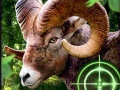 Mäng Crazy Goat Hunter 2020
