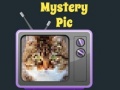 Mäng Mystery Pic